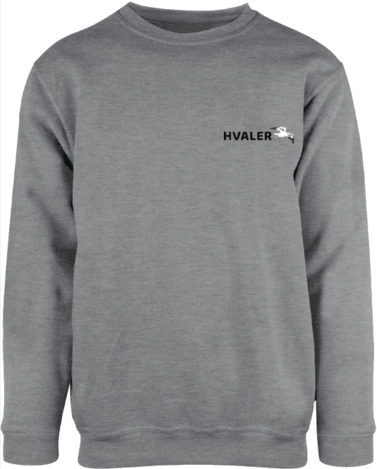 Hovedbilde Hvaler Patch Genser Grå