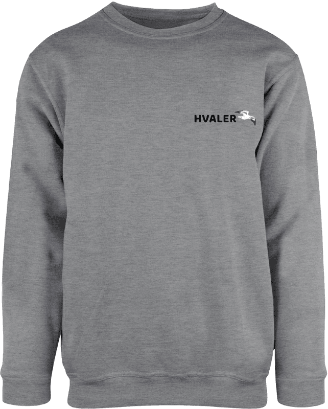 Hvaler Patch Genser Grå