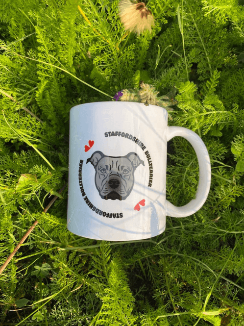 Hovedbilde Staffordshire Bullterrier Krus